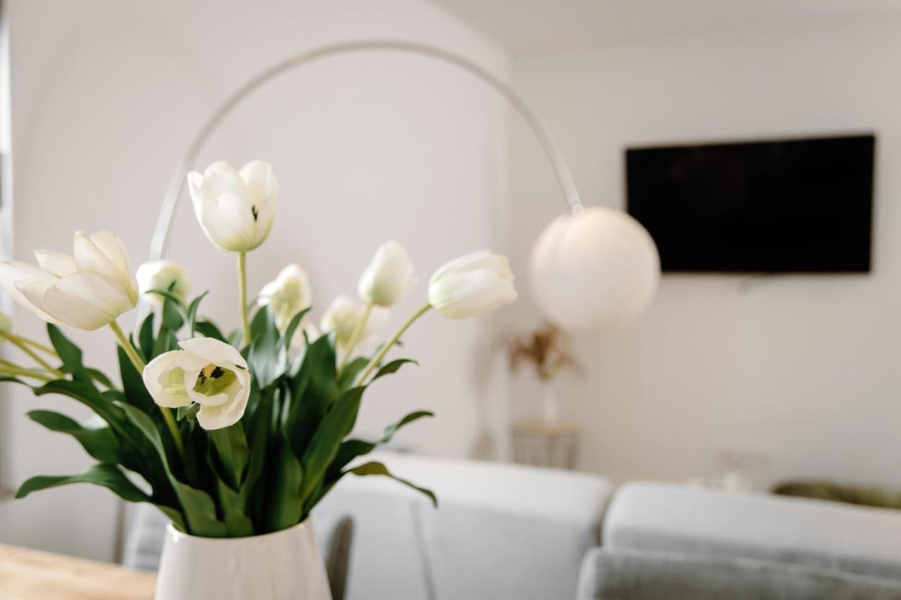 Moderne Suite No1 Im Herzen Von Hameln Hamelin Esterno foto